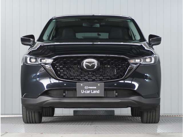 【フロントフェイス】研ぎ澄まされたシャープなデザイン。日本人が古来から持っている「引き算の美学」を具現化しております。