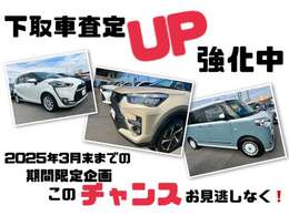 2025年3月末までの期間限定企画下取車査定UP強化中です！このチャンスをお見逃しなく！