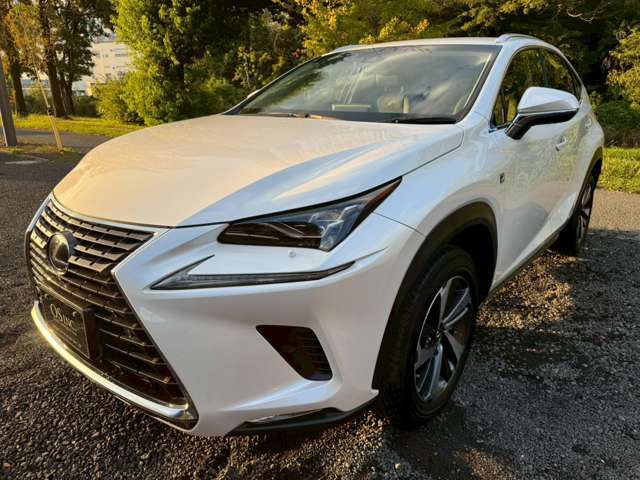 ◆スタッフ皆、国家整備士免許持ちなので、カスタム・整備の事など、気になるは何でもご相談下さい。納車後のアフターサービスもお任せ下さい！