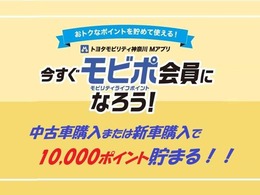 販売エリアは、神奈川　東京　埼玉　千葉　静岡　山梨となります。