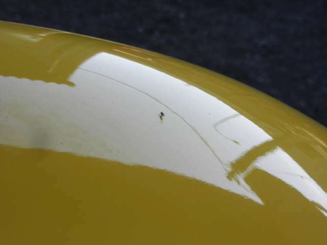 どういう訳か、黄色い車は虫たちに人気があります。（蜂系）