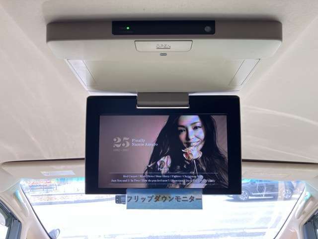 後期♪保証書♪取説♪純正8インチナビ♪地デジ(フルセグ)♪Bluetooth♪ETC♪フリップダウンモニター♪両側パワースライドドア♪モデリスタエアロ♪ローダウン♪革調シートカバー♪AW♪