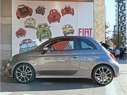 ボディカラーは「グリジオレコード」です。