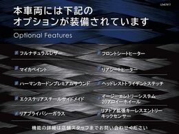 ◆オプション一覧