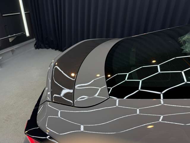 ウィング自体もカーボン製で、軽量かつ剛性の高い素材を採用。モーター負荷の低減と高速走行時の安定性に寄与