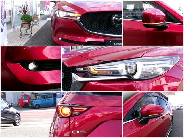 夜間の光からもデザインされています★