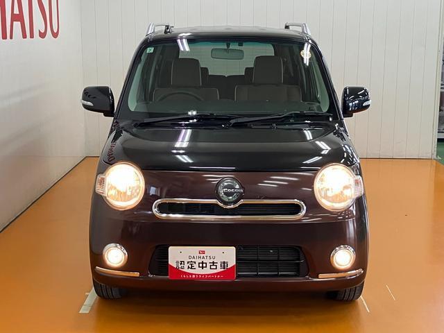 可愛らしいフロントマスク