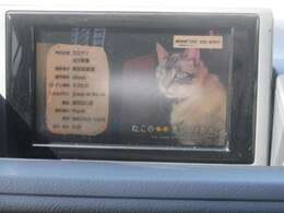 フルセグTVが視聴できます♪