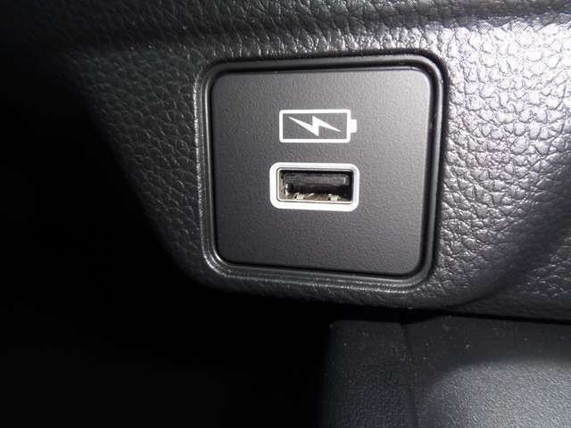 USBシャージャー