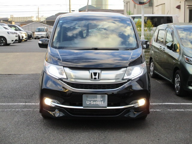 貫禄のフロントマスク。