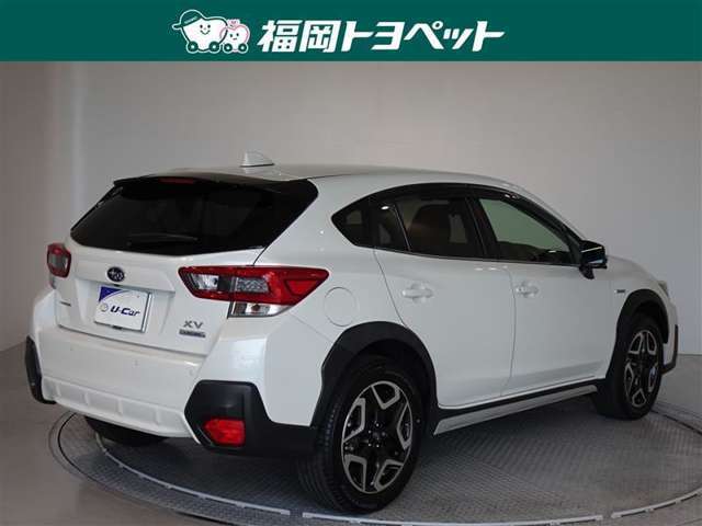色は人気のパールマイカです。