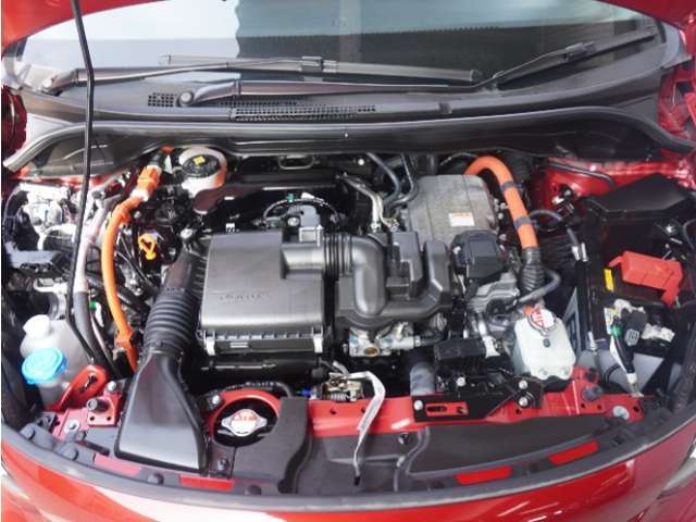 エンジンは車の心臓部分です。このエンジンルームが汚いとトラブルの基になります。当店は専用の液剤を使って徹底的に綺麗にします。