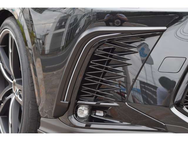 ■オリジナルのデイライトガーニッシュが装備されており車の存在感が増しております。