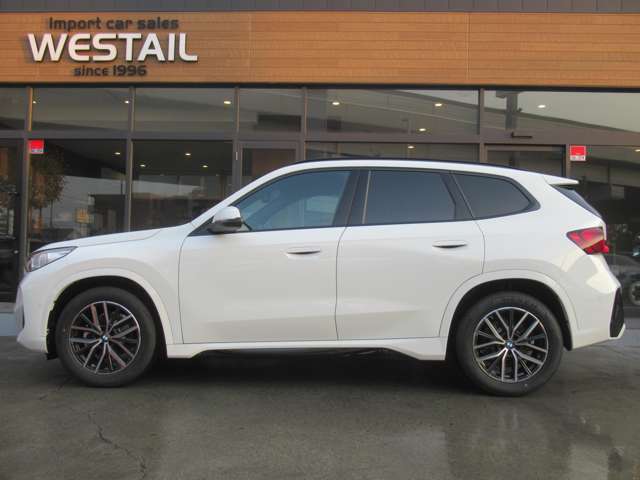 コンフォートアクセス、アダプティブクルーズコントロール