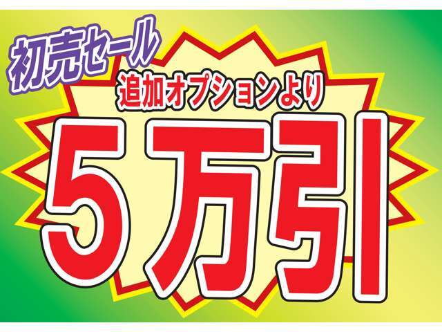 ！期間限定　1月末日まで！ ☆☆初売りセール実施中！！オプション5万引きセール実施中☆☆細かな条件・必須オプション無し！追加オプションより価格調整！！この機会を是非お見逃しなく((^^)