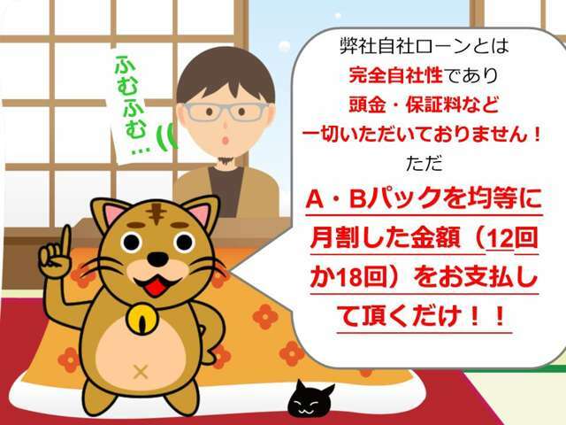 17か月お得プラン中、車両整備、故障、オイル交換等。お車のメンテナンス工賃通常の70％