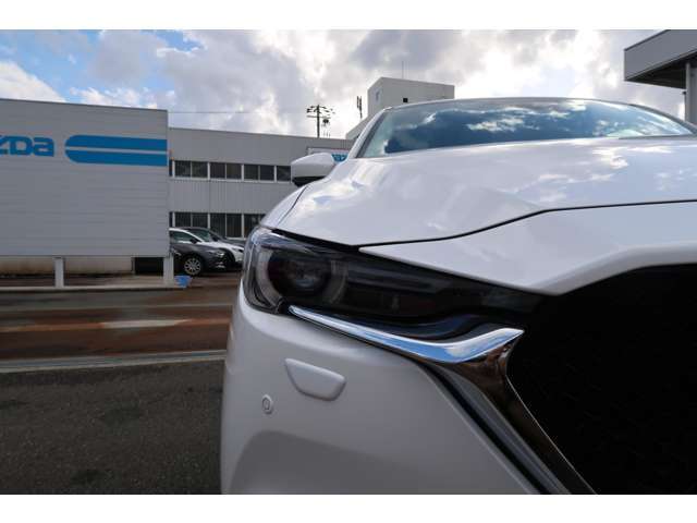 2.2Lディーゼルエンジン搭載の4WDで力強く走ります