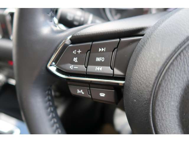 2.2Lディーゼルエンジン搭載の4WDで力強く走ります