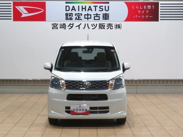 つり目が可愛い