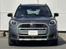 ◆スモーキーグリーン◆