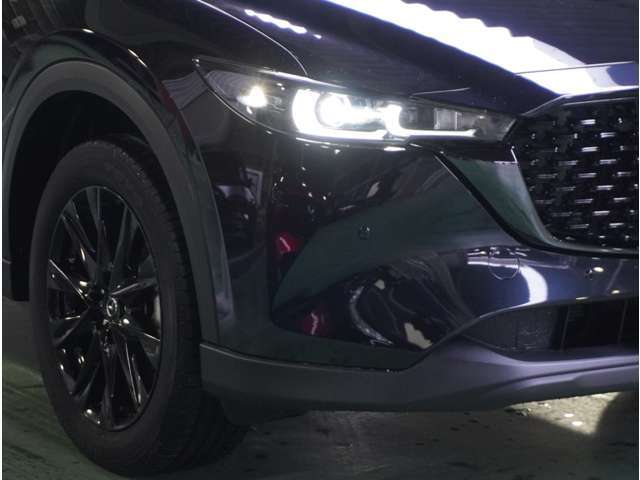 ★★★ヘッドライトはLED式です★★★