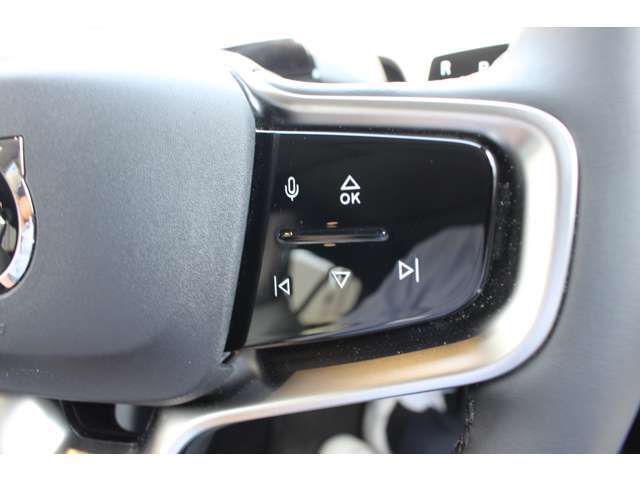 ステアリングの右側スイッチでは、オーディオのボリューム操作や車両の燃費情報を確認できます。
