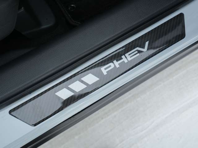 スカッフプレート☆乗り降りの際に靴などでボディが傷つくのを防ぎやすくする装備です！