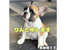 看板犬のりんちゃんもお待ちしてます！！