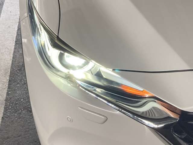 【LEDヘッドライト】明るく省電力で点灯してから明るくなるまで時間がかからない特徴があります。