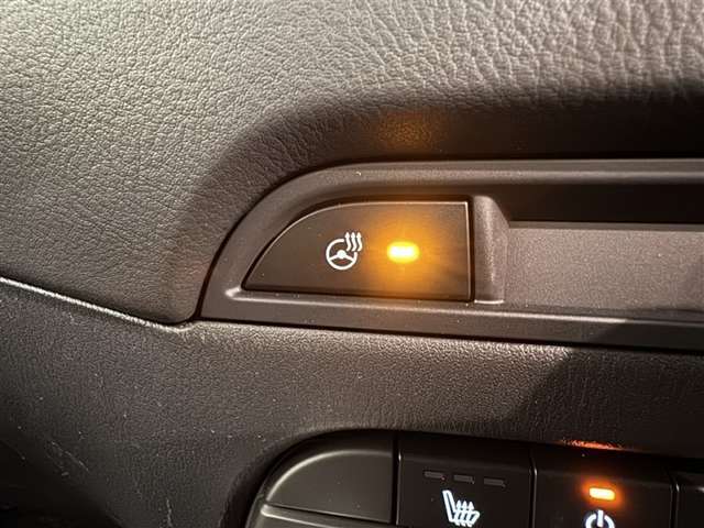 ステアリングヒーター付き！寒い時期に嬉しい機能です。