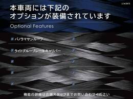 ◆オプション一覧