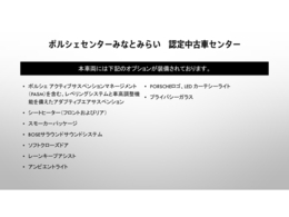 当車両のオプション一覧で御座います。