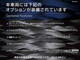 ◆オプション一覧