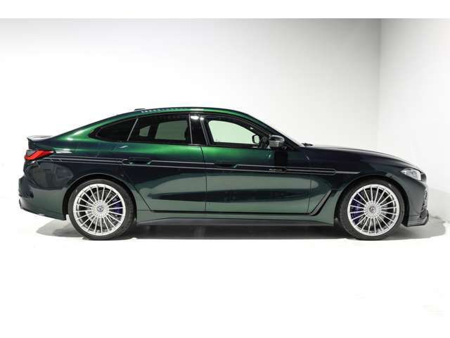 メーカーオプション　アルピナグリーン 440,000 メリノフルレザータルトゥフォ 596,000　SAFETYPKG610,000