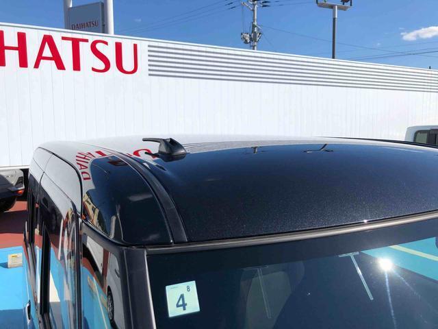 天井部も問題ありません。