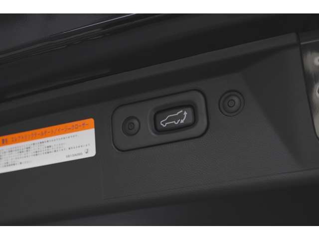 電動テールゲートスイッチ