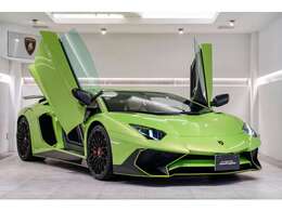 Verde Ithaca