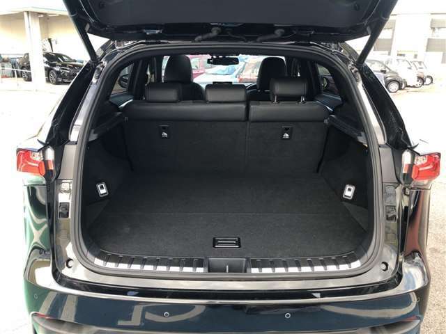 分割可倒式シートです。片方を倒して、長い荷物も積めちゃいます。両方倒せば、大きなラゲッジスペースが出現します。