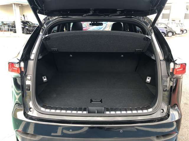 トノカバー付きでプライバシー保護や盗難防止になります。このご時世、付いていて損はないですね。