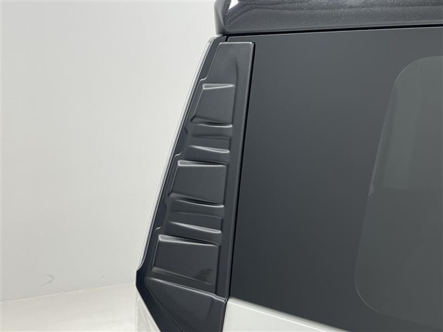 リヤコンビガーニッシュ！