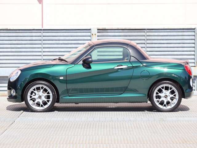 サイドスタイルもかっこいい車です。