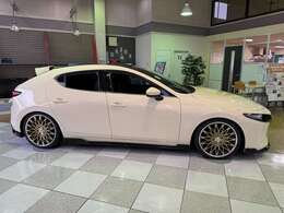 ボディはアイボリー系のカラーでラッピングされています