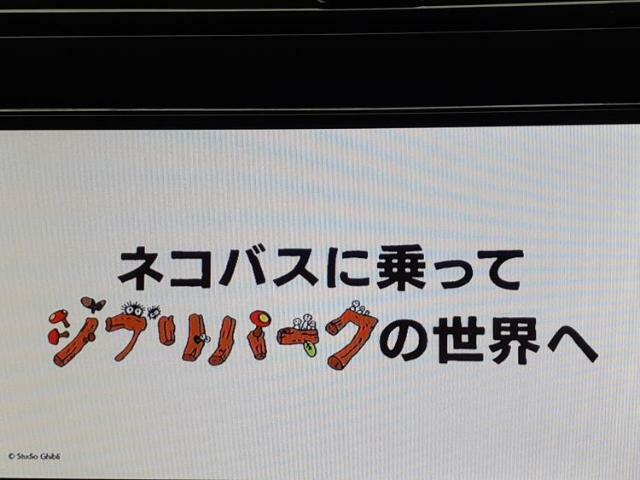 ナビ、ドラレコ、ETC、フリップダウンモニター、デジタルインナーミラーetc…後付け可能です！オプションも豊富に取り揃えておりますのでご安心ください！