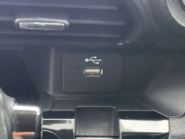 USB電源ソケットを標準装備。