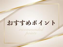 後期型/6速MT/クルーズコントロール/ヒルスタートアシストコントロール/Trackスイッチ/ETC/ストラーダナビ/Blu-ray再生可/バックカメラ/地デジ/LEDオート/純正AW