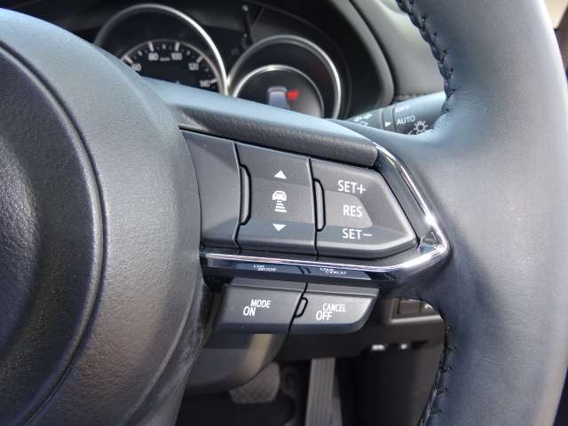 クルーズコントロール付きなので高速道での疲れもぐっと低減できるかもしれません。
