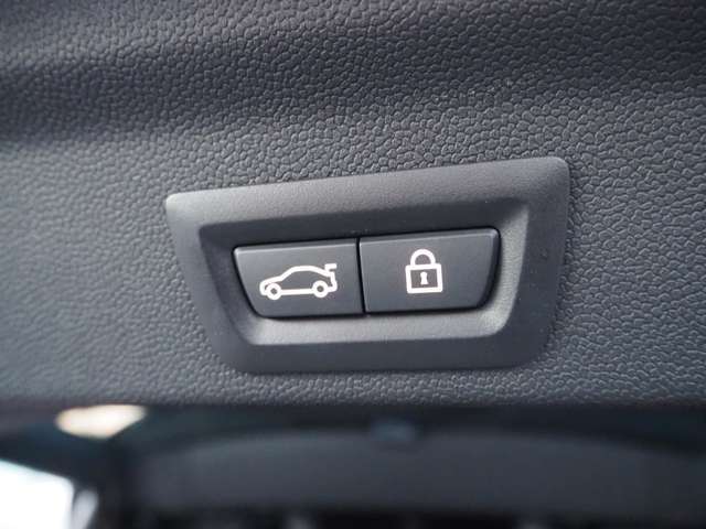 手のふさがっている際にも開閉楽々なパワートランク機能！