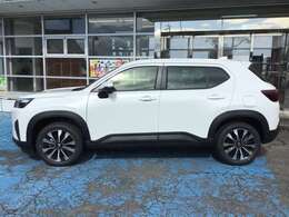 人気のパールホワイトカラー