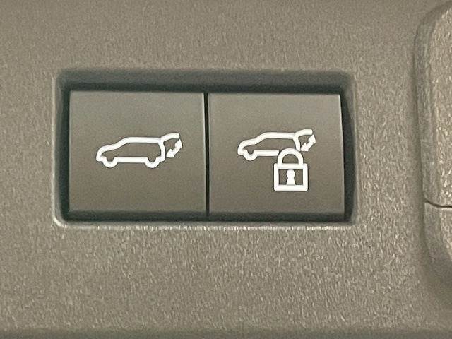 【電動リアゲート】ボタンひとつで大きなゲートも簡単に開閉可能です。