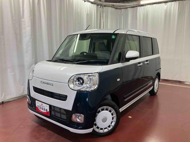 ★☆2トーンの可愛くておしゃれなキャンバス、ストライプス入荷しました☆★